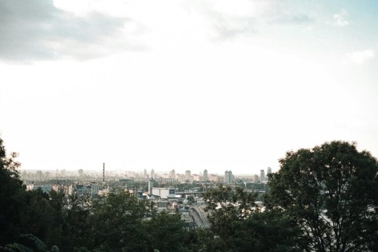 bold expansion drives market advantage